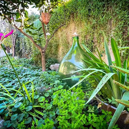 Maison Lefleur - Avec Piscine Sur Les Hauteurs De * Nizza