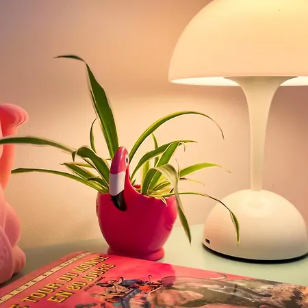 Maison Lefleur - Avec Piscine Sur Les Hauteurs De Casa vacanze *